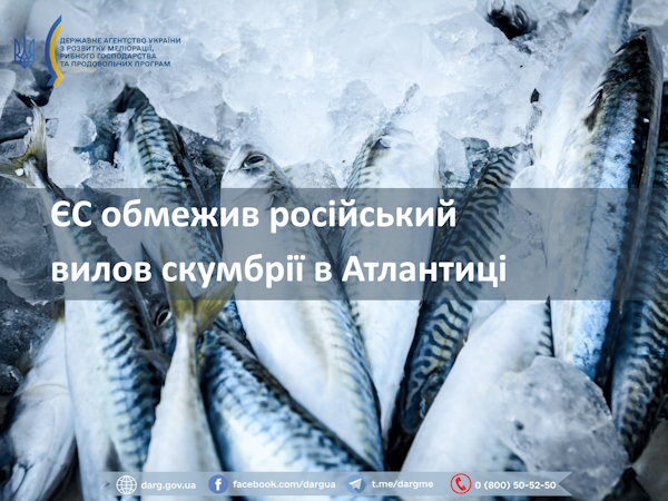  ЄС обмежив російський вилов скумбрії в Атлантиці 