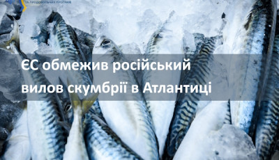 ЄС обмежив російський вилов скумбрії в Атлантиці