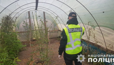 Запорізькі поліцейські викрили наркодилерів та вилучили канабіс на понад два мільйони гривень