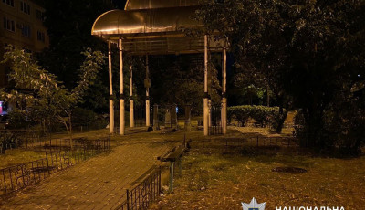 Поліцейські затримали чоловіка, який намагався зґвалтувати жінку у Дніпровському районі столиці