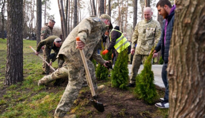 Микола Калашник разом із громадою Ірпеня висадив алею туй на честь полеглих Героїв