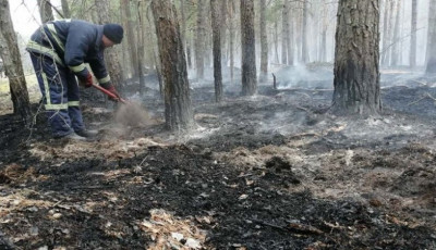 Продукти горіння із Зони відчуження не могли потрапити до Києва – директор Укргідрометцентру 