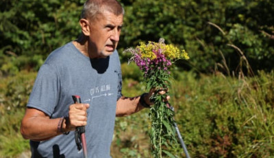 Прем’єр Чехії перепросив за те, що зірвав квіти у заповідній зоні