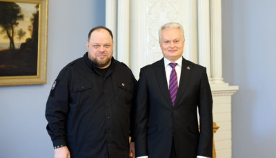 Стефанчук і Науседа обговорили підтримку союзниками Плану перемоги