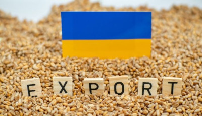 Україна торік відкрила 22 нових ринки для експорту агропродукції